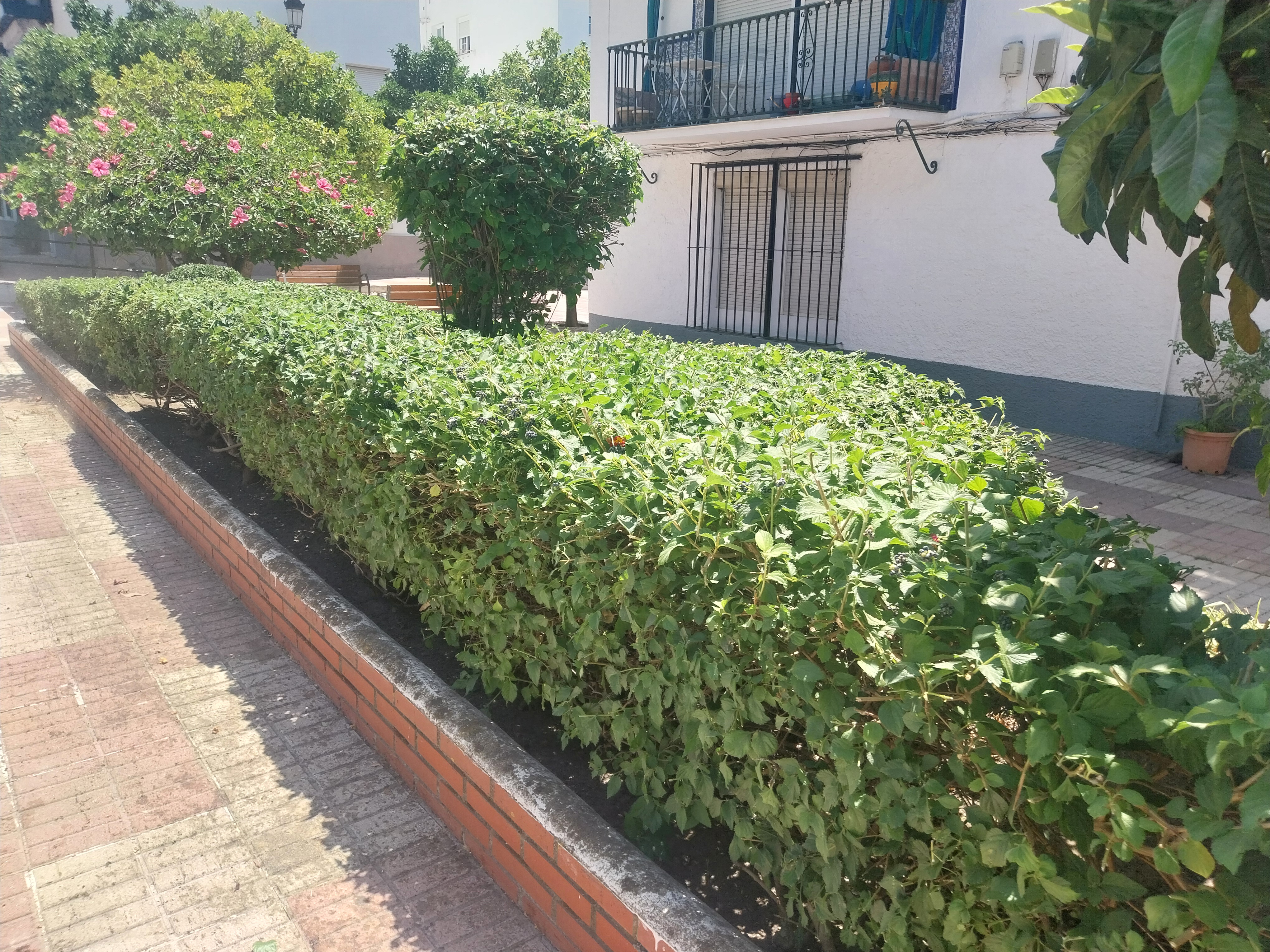 Recortearbustivas marbella