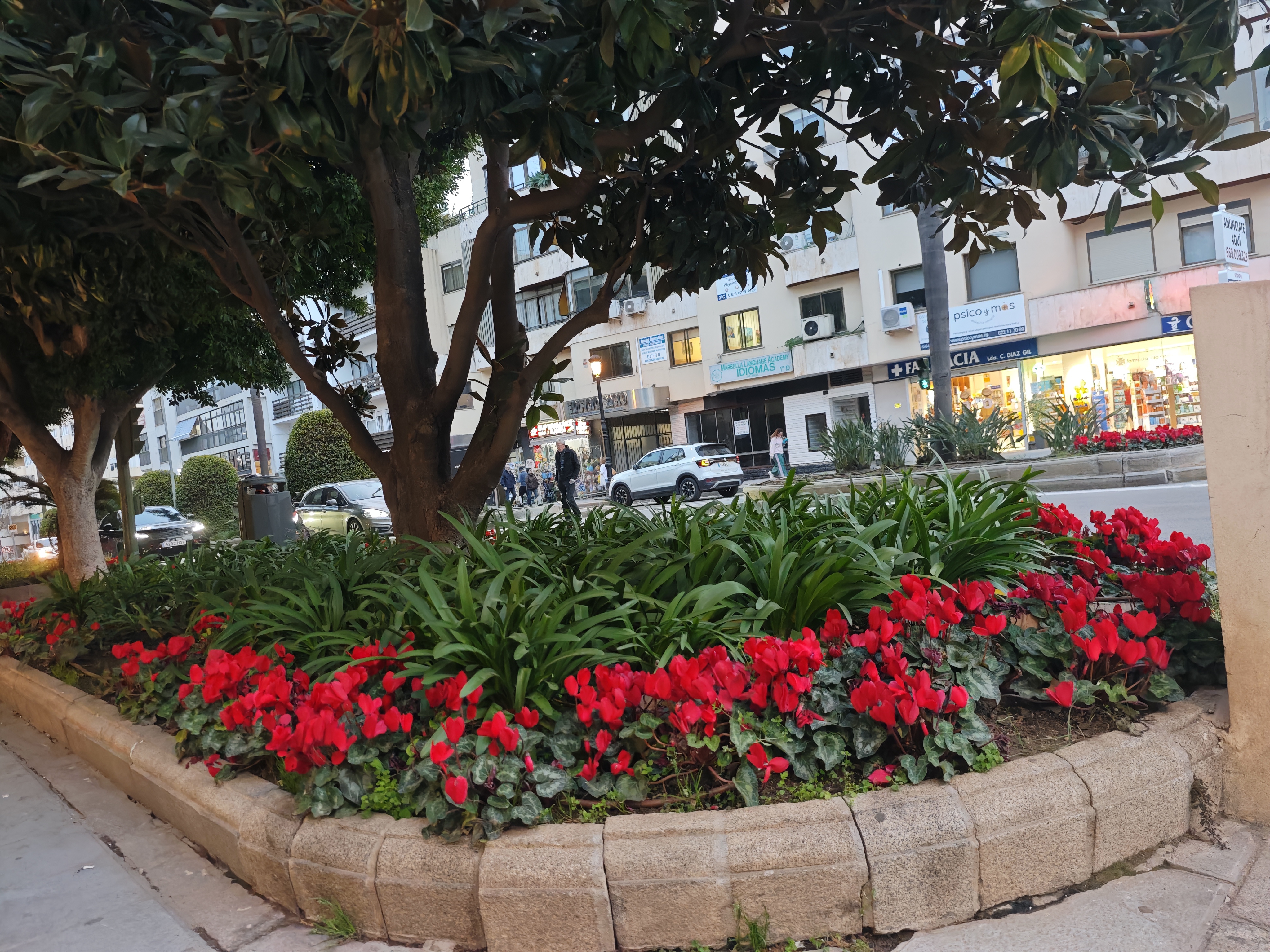 Marbella florece