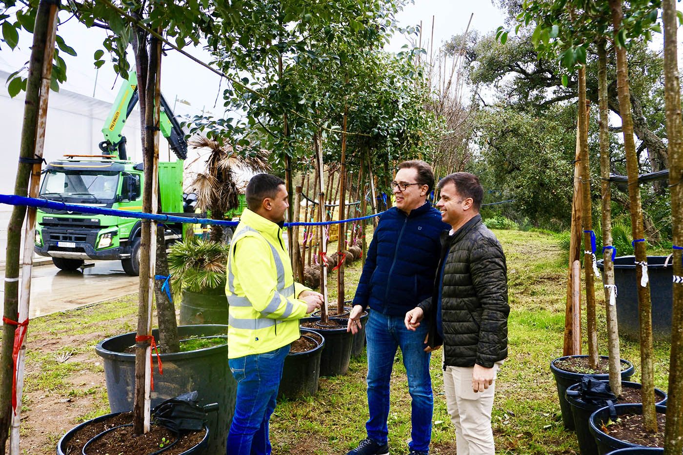 Marbella refuerza su modelo de ciudad verde con la llegada de más de 350 árboles para su plantación en los próximos meses